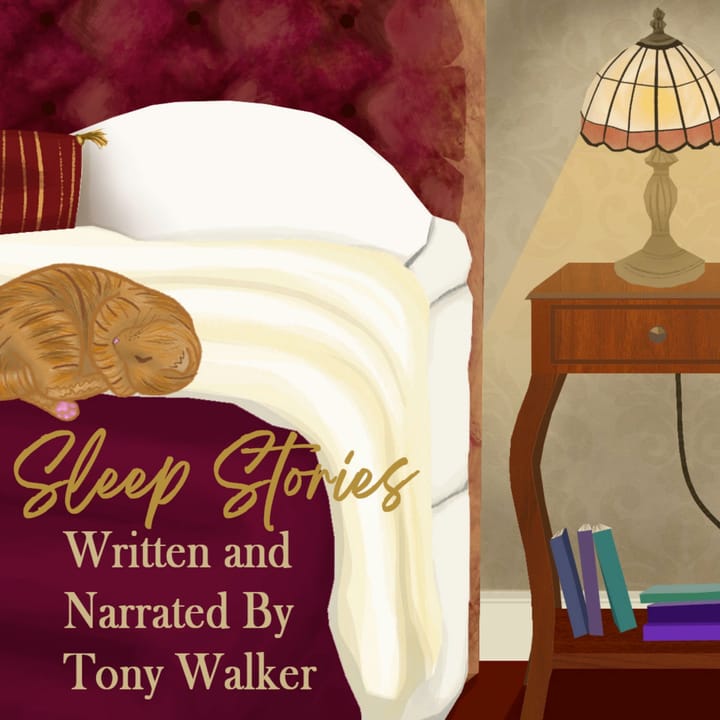 Sleep Story: The House In The Wood