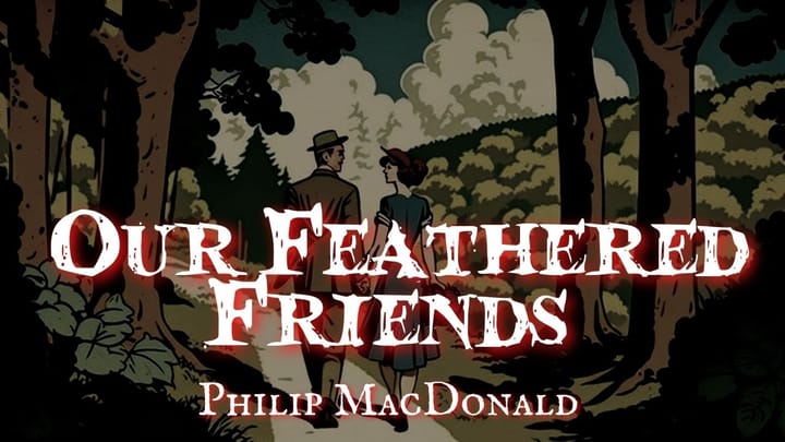 Our Feathered Friends