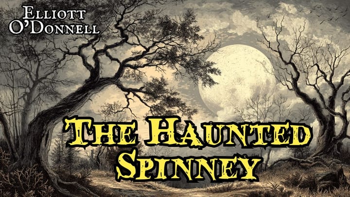 The Haunted Spinney by Elliott O'Donnell